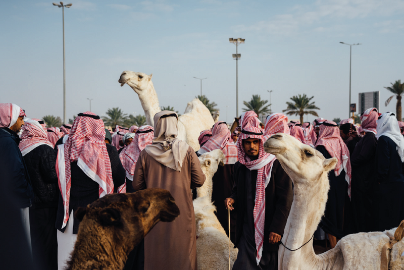 Northern Najd Highlight