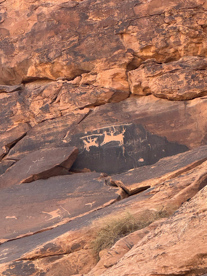 Northern Najd Highlight